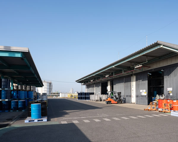 yard06.jpg